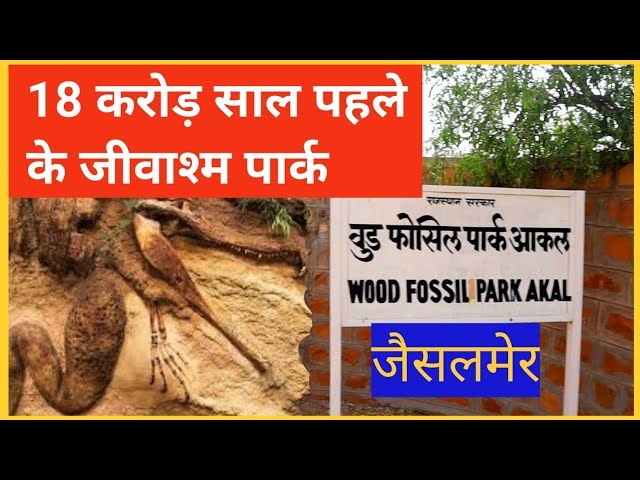 Akal Wood Fossil Park Jaisalmer, 18 करोड़ साल पहले का जीवाश्म उद्यान देखो