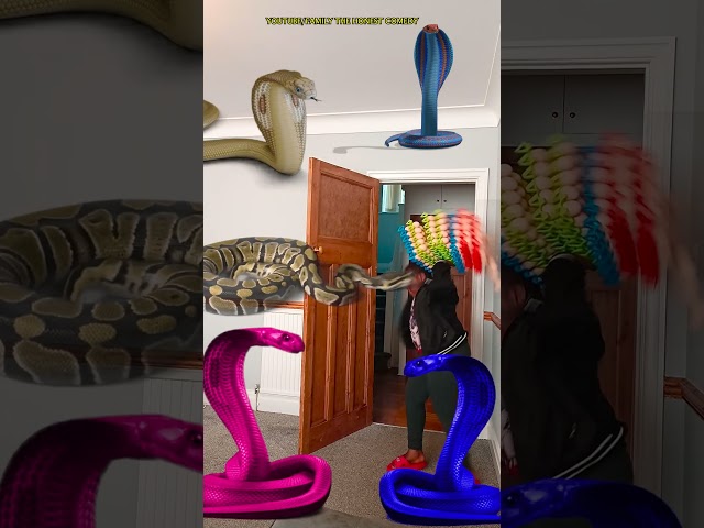Animal funny video Anaconda snake python in my house in real life #vfx magic bhoot wala #shorts 2