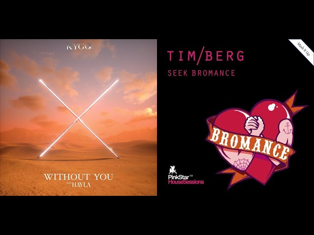 Seek Bromance Without You (Kygo & Tim/Berg Mashup)