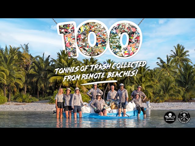 100 tonnes have been removed from remote beaches!