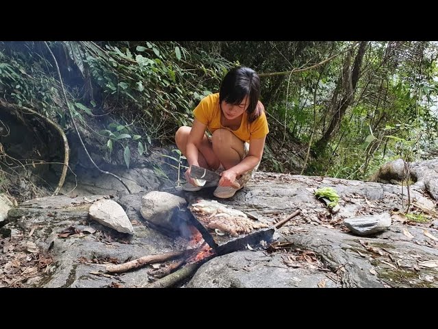 cooking on a rock - grilled fish #24 | Cooking VN