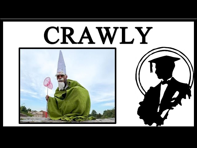 Meet Crawly, The Green Wizard Gnome