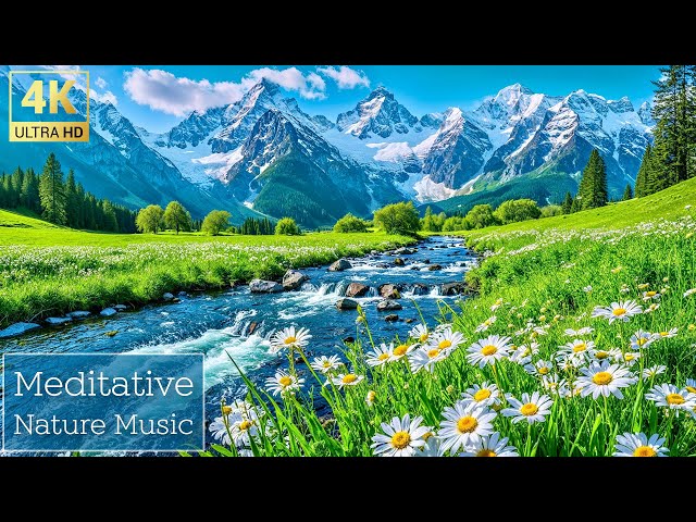 Meditative Naturmusik 🍃 4K – Finden Sie Ruhe mit Serene Piano und der Schönheit der Natur
