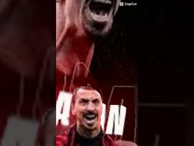 Lions don’t compare themselves to humans #ibrahimovic