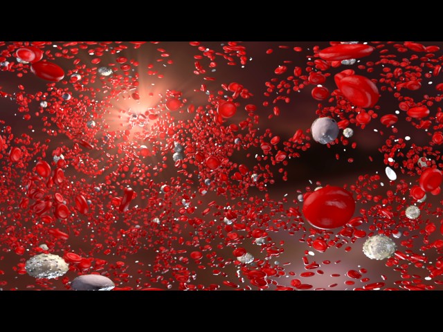 Ghost Productions 360 VR Blood Cells