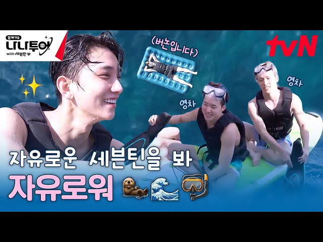 해파리 대소동! 그리고 최버논 표류기🦦 우당탕탕 물 만난 세븐틴🌊 #나나투어with세븐틴 EP.6 | tvN 240216 방송