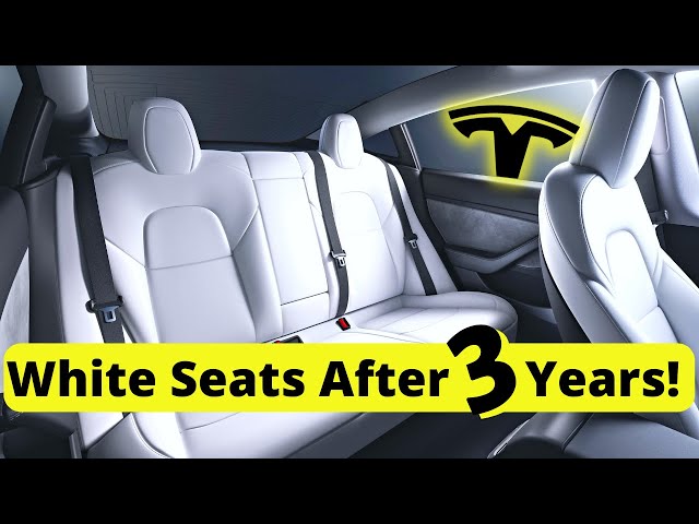 My Tesla Model 3 White Interior Seats After 3 Years Review 🚗 Regrets?
