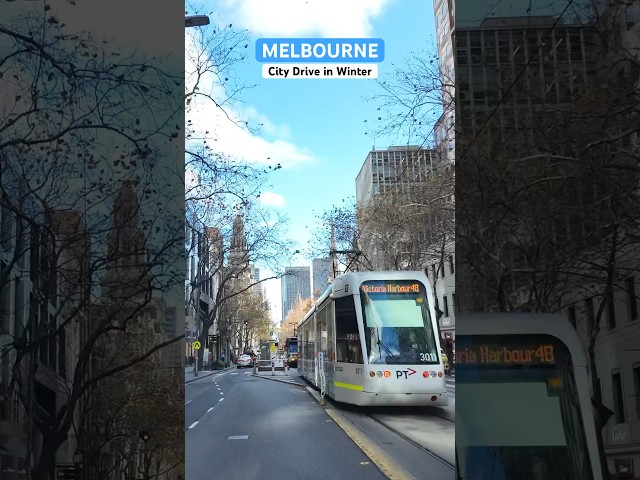 Melbourne Australia #citytour #tram #drivingtour