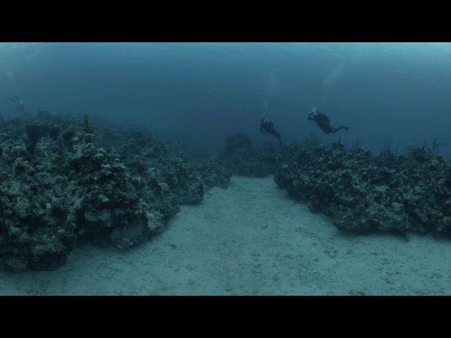 Dive Cayman: A 360 Experience