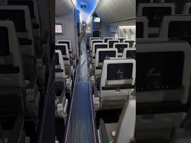 Gulf Air Economy Class 787-9  #shorts