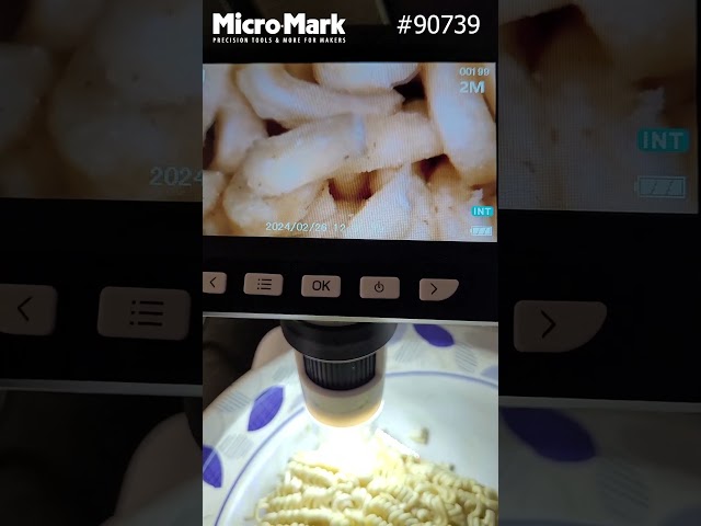Instant noodles under LCD Digital Microscope 1000X Microscope 1080P #shorts #instantnoodles #bugs