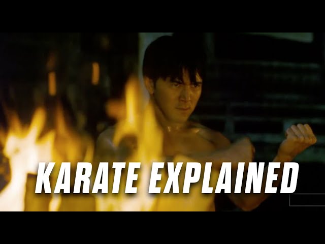 Karate Explained: Sport vs Self-Defense #karate #martialarts #training #bunkai #kata #selfdefense