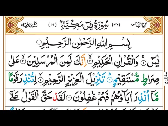 Surah Yaseen | Yasin | Episode 95 | Daily Quran | Tilawat Surah Yasin | Yasin Full Surah