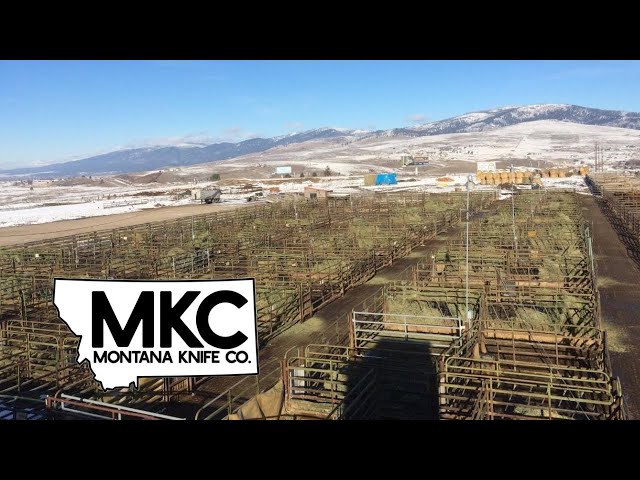 Five Valleys Livestock to Close, Montana Knife Company to Transform Site