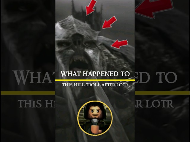 What happened to the Hill Troll after LOTR? 🤔