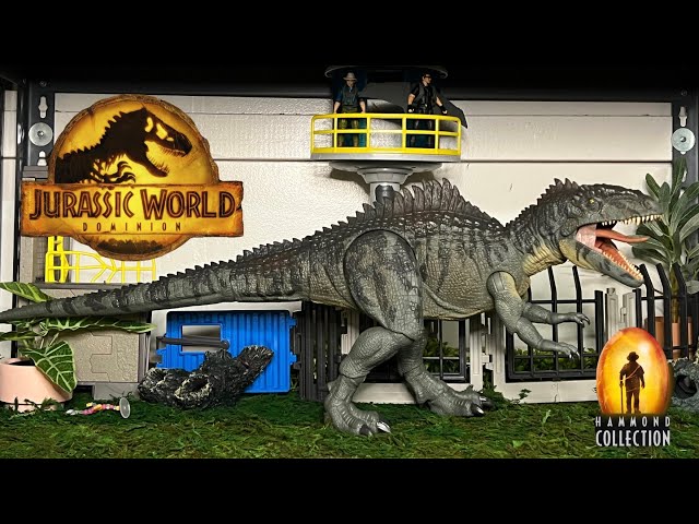 Jurassic world Hammond collection Giganotosaurus unboxing 4k  review - Mattel Target exclusives