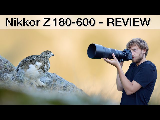 The perfect all-round zoom for wildlife photographers? Nikon Z180-600mm Review