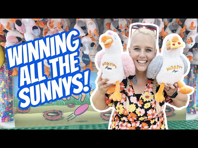 How To Win Sunny the Seagull at Morey's Piers Carnival Games!