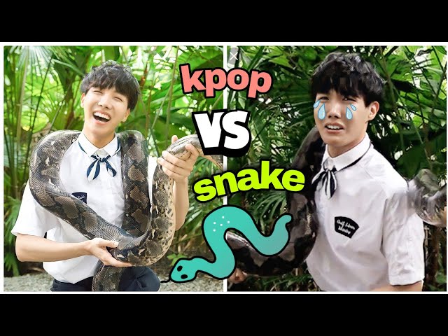 Snake vs kpop idols try not to laugh