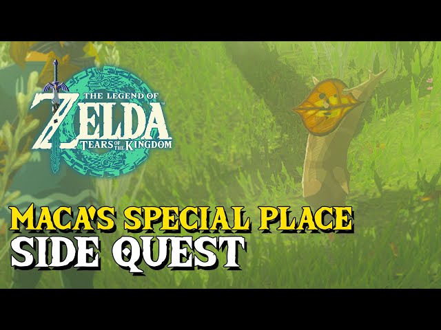 Zelda Tears Of The Kingdom Maca's Special Place Side Quest Guide