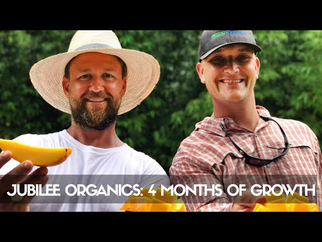 3-Acre Food Forest ONLY 4 MONTHS After Install: Jubilee Organics' Oceanfront Farm