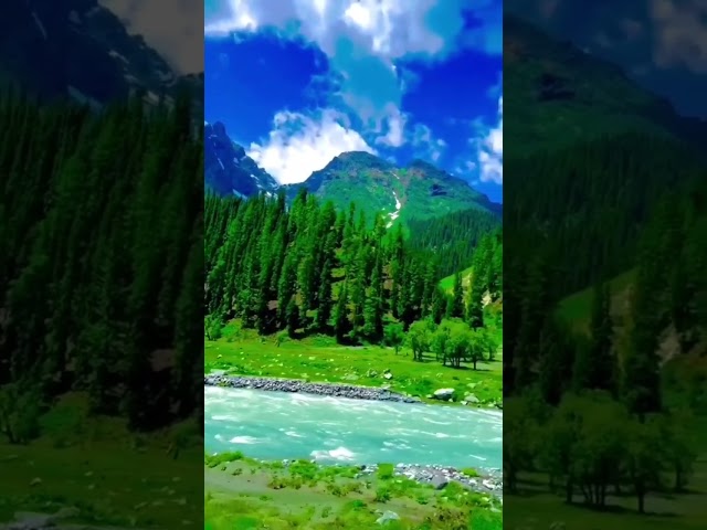 #kashmir lovly video shoot in short video #song nice place