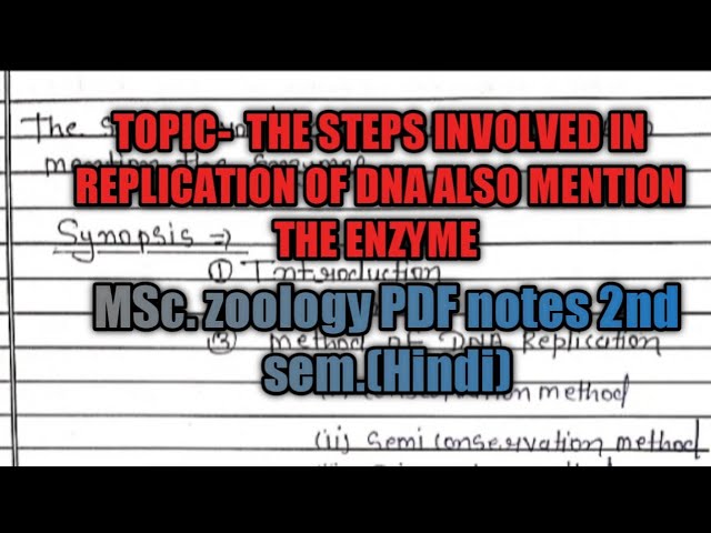 The steps involved in replication of dna also mention the enzyme notes msc.zoology