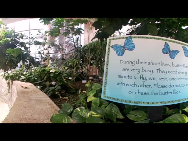 Pacific Science Center - Tropical Butterfly House 360°