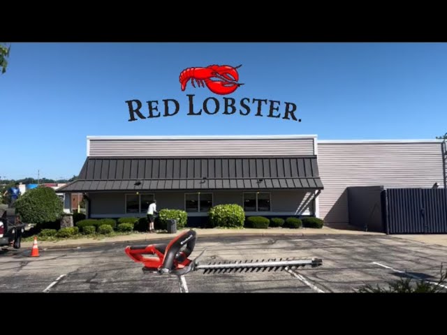 Trimming Hedges At Red Lobster 🦞
