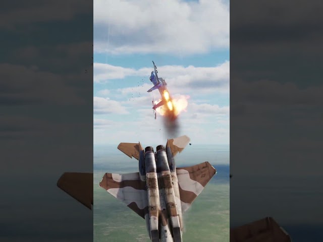 Ace Combat Zero Final mission Recreation F-15 Shoots Perfectly Down SU-27's Intakes #DCS
