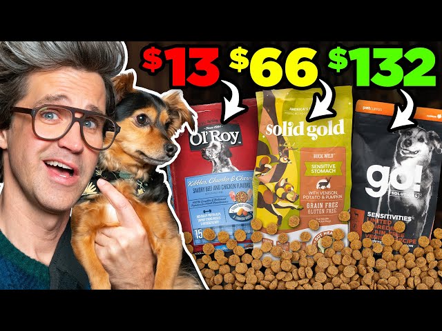 Is Expensive Dog Food Worth It?