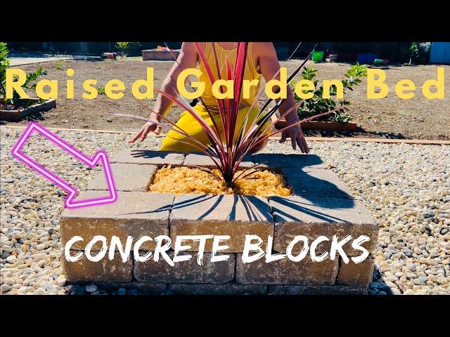 How To Build A Raised Garden Bed Using Blocks Of Concrete