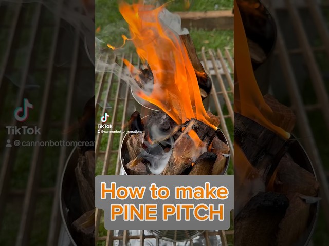 How to make pine pitch. Primitive technology glue