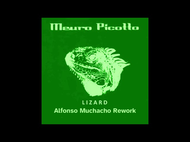 Mauro Picotto - Lizard (Alfonso Muchacho Rework)