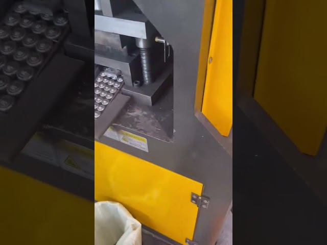Flat Steel Automatic Hydraulic Punching Cutting Machine
