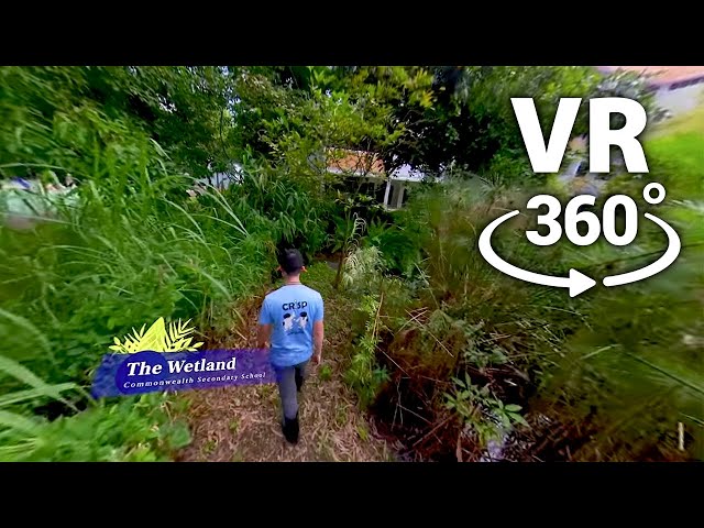 VR360 CWSS Eco Habitats - The Wetland Walk