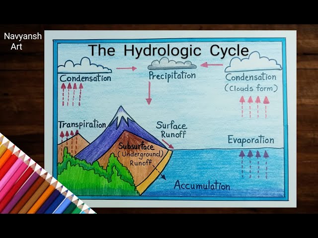 Hydrologic Cycle diagram drawing for school project / Water Cycle drawing easy and step by step
