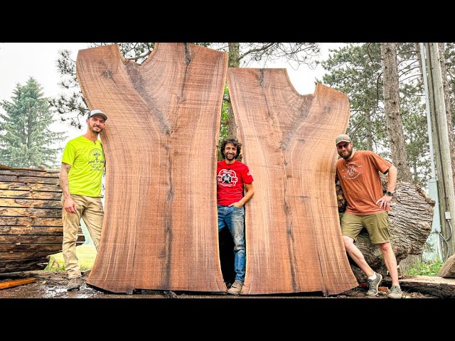 I Doubt You’ve Seen Walnut Slabs This Big Before