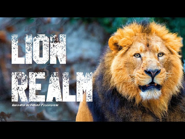 CH5 - Nature Documentary - The Realm of the Asian Lion (1999)