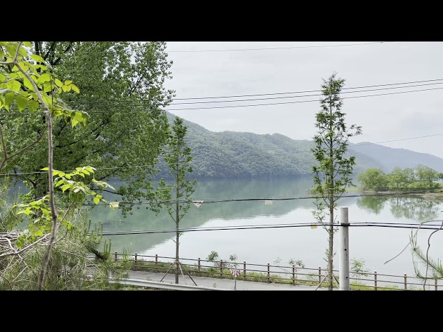 Real Sound 'ASMR' South Korea's River, the sound of a beautiful bird