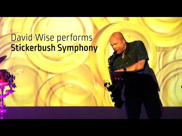 Stickerbush Symphony live with David Wise