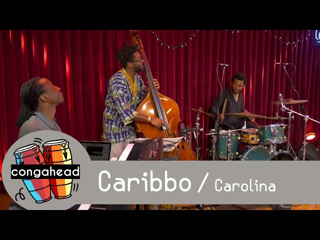 Caribbo performs Carolina