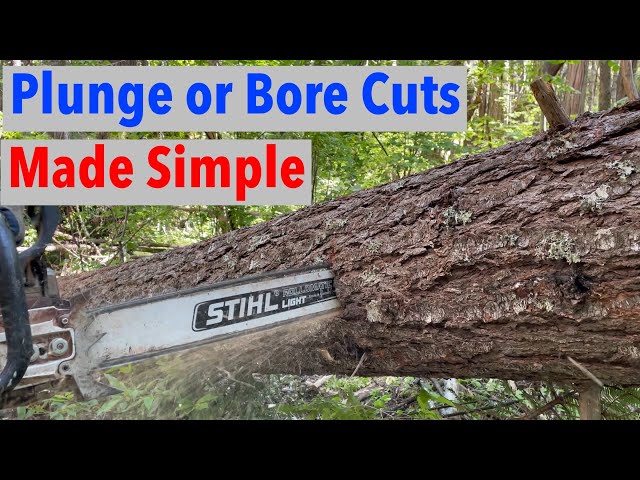 How to Plunge Cut Bore Cut With Chainsaw Safely