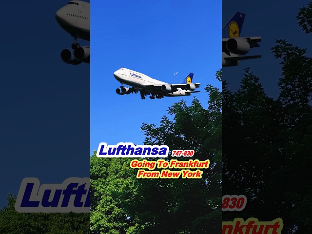 Going Lufthansa 747-830 From New York to Frankfurt✈️ #shorts