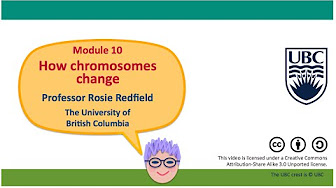 Module 10: How chromosomes change