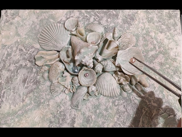 Mixed Media Seashell painting. Amazing 3D Texture Creates Unique Artwork.