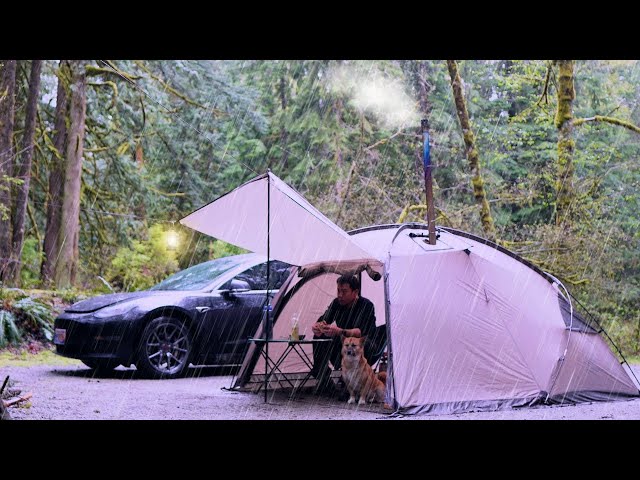 Tesla Car Camping - Heavy Rain - Hot Tent - Delicious Dinner & Breakfast
