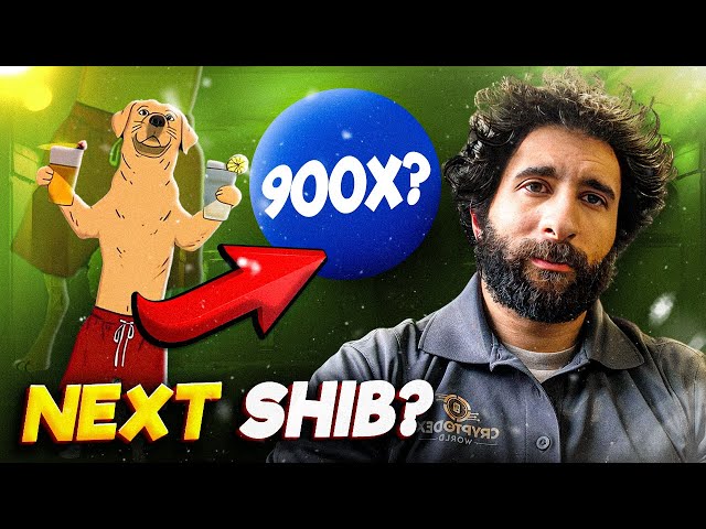 THE NEW HIDDEN GEM! 🔥 Dogwifshorts 🔥 INCOMING 1300x FOR SURE!