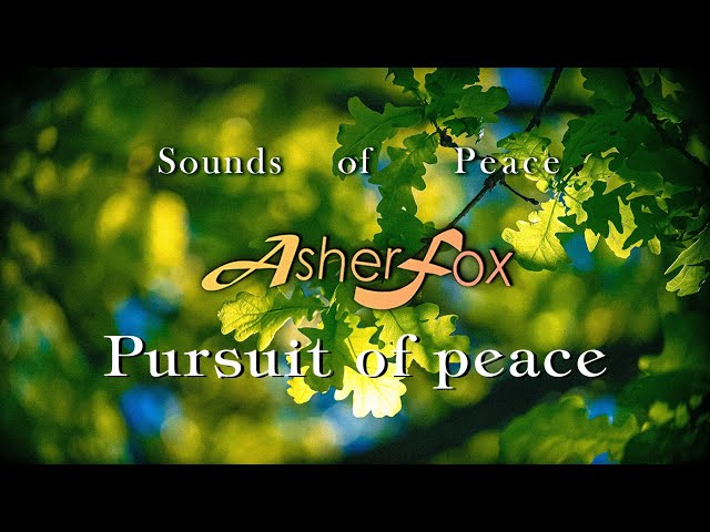 Pursuit of peace | Breathing and Meditation over Nature