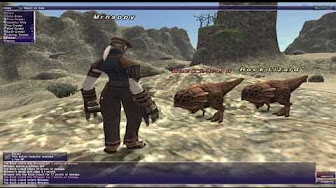 Let's Play FFXI